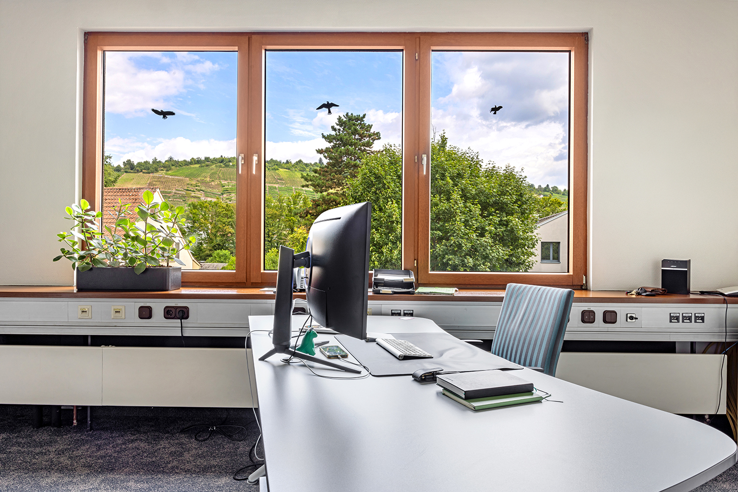 Office-Service-Büro-medium_09 mittleres Büro Schreibtisch mit Blick auf die Weinberge