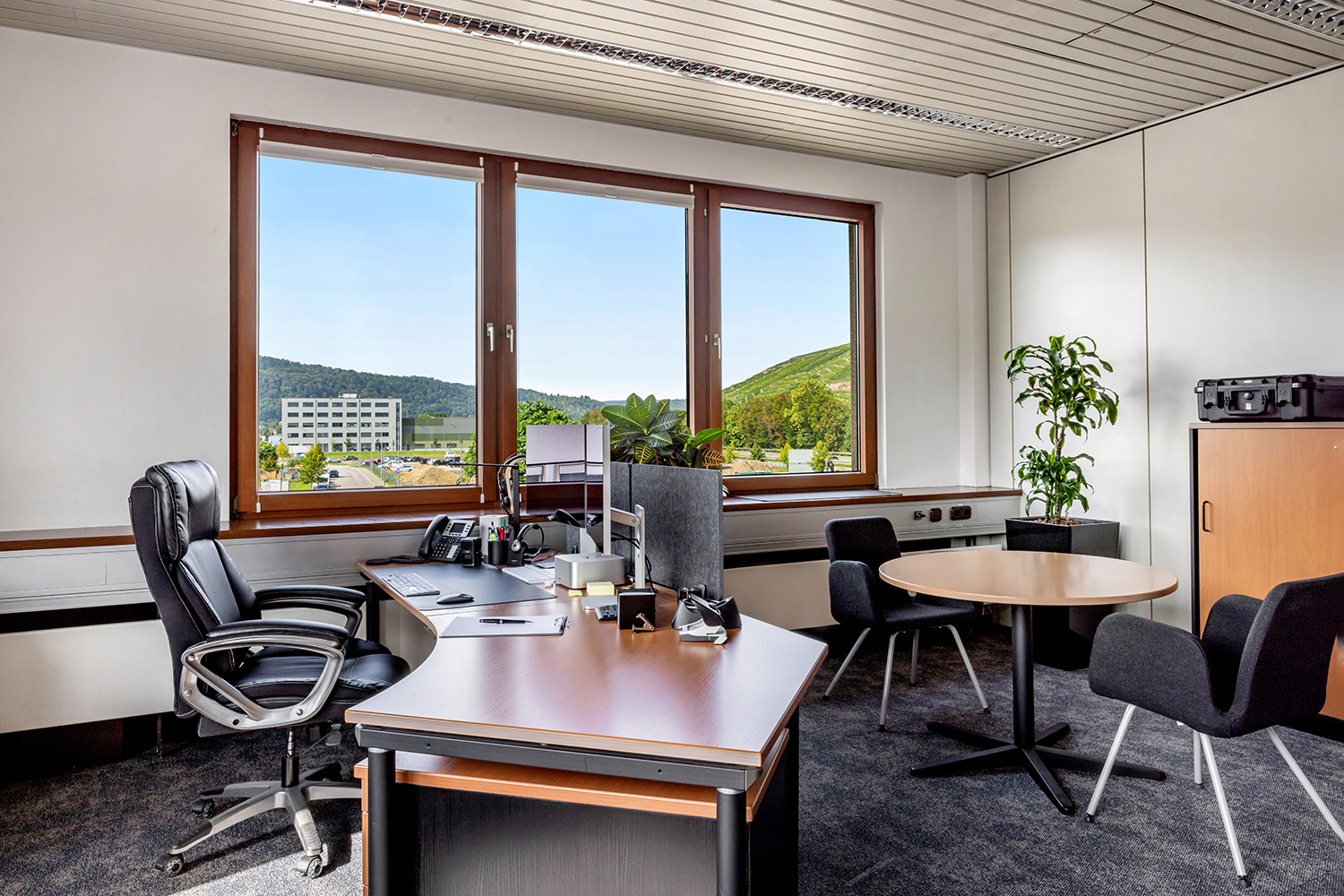 Office+Service-grosses-Office-36m2_02 Großes Büro mit Schreibtisch und Besprechung mit Blick auf die Weinberge