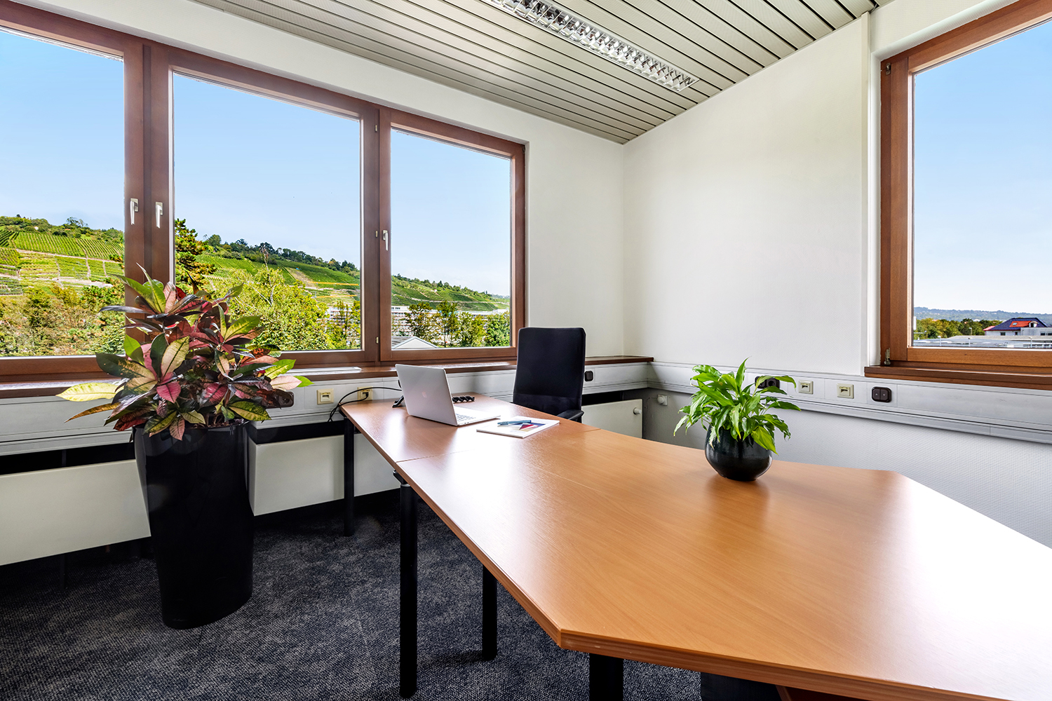Office+Service-kleines-Office-16-18m2_01 Büro Small mit Schreibtisch und Pflanze und Blick auf die Weinberge