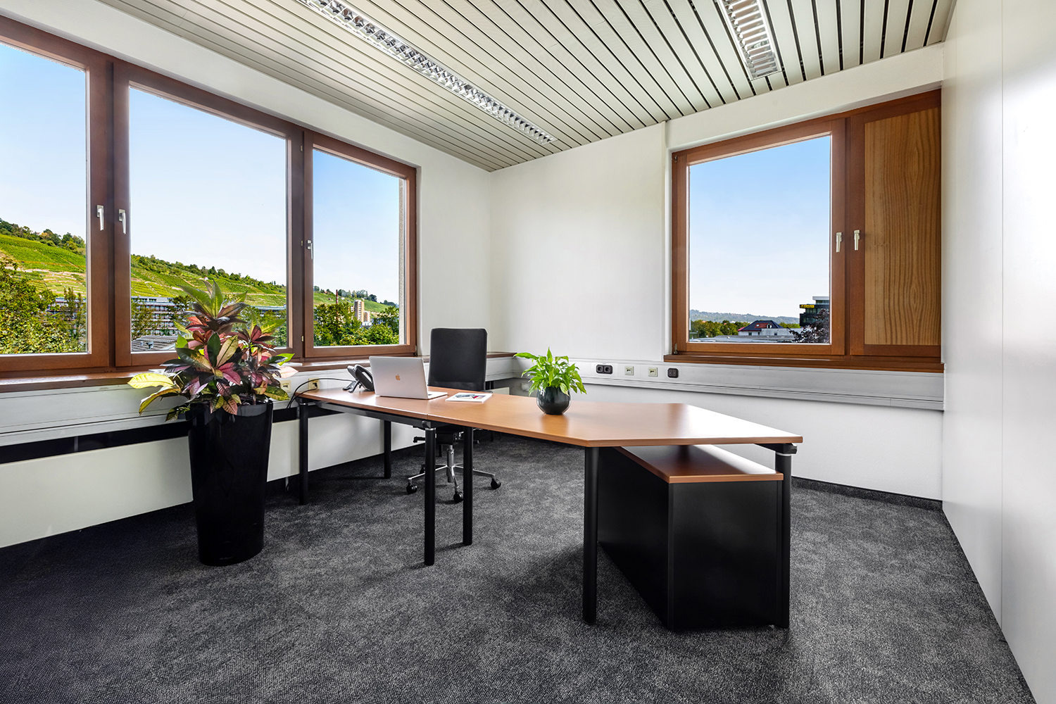 kleines Büro Mit Schreibtisch und Blick auf die Weinberge