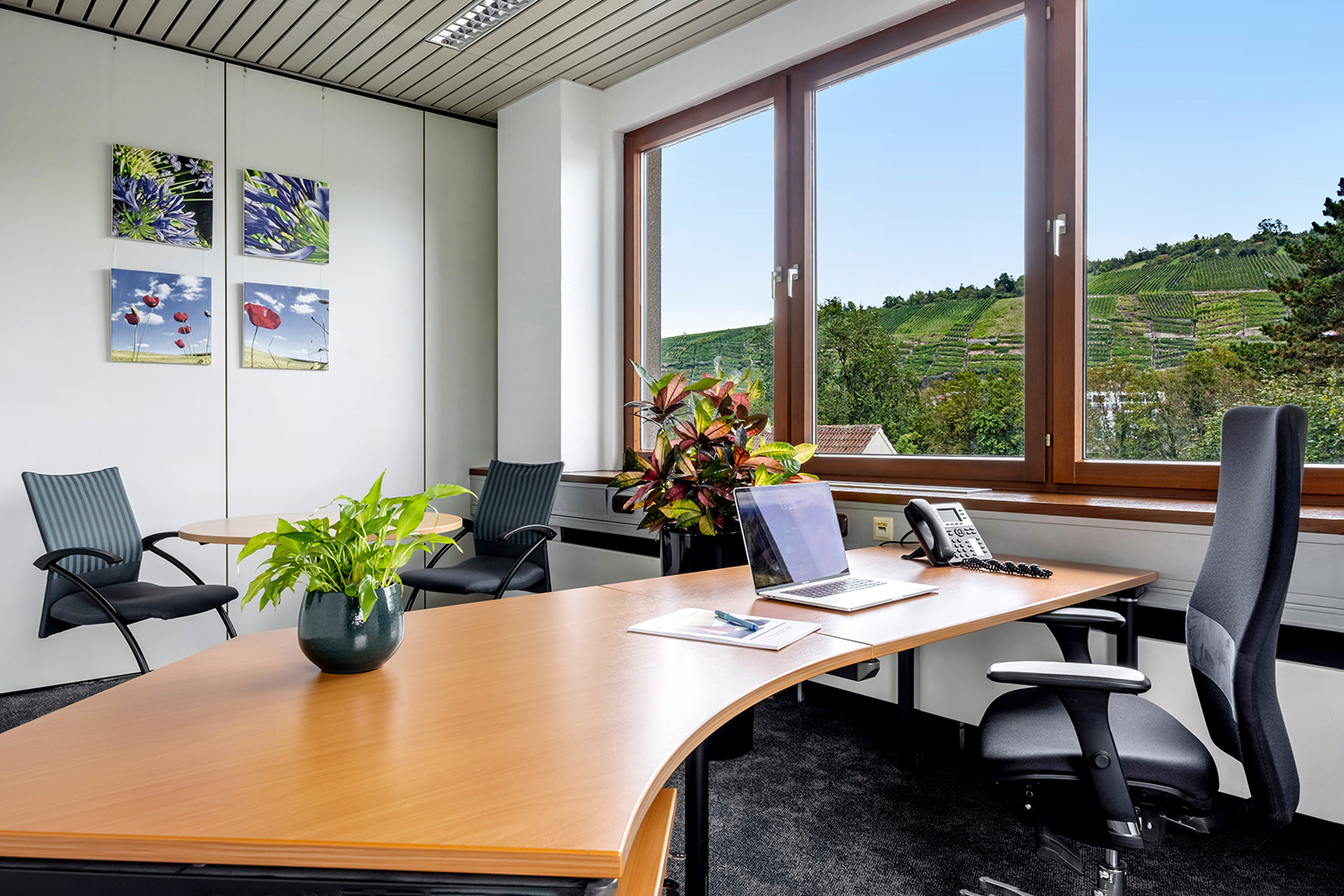 Office+Service-kleines-Office-16-18m2_04 Arbeitsplatz mit Blick auf die Weinberge
