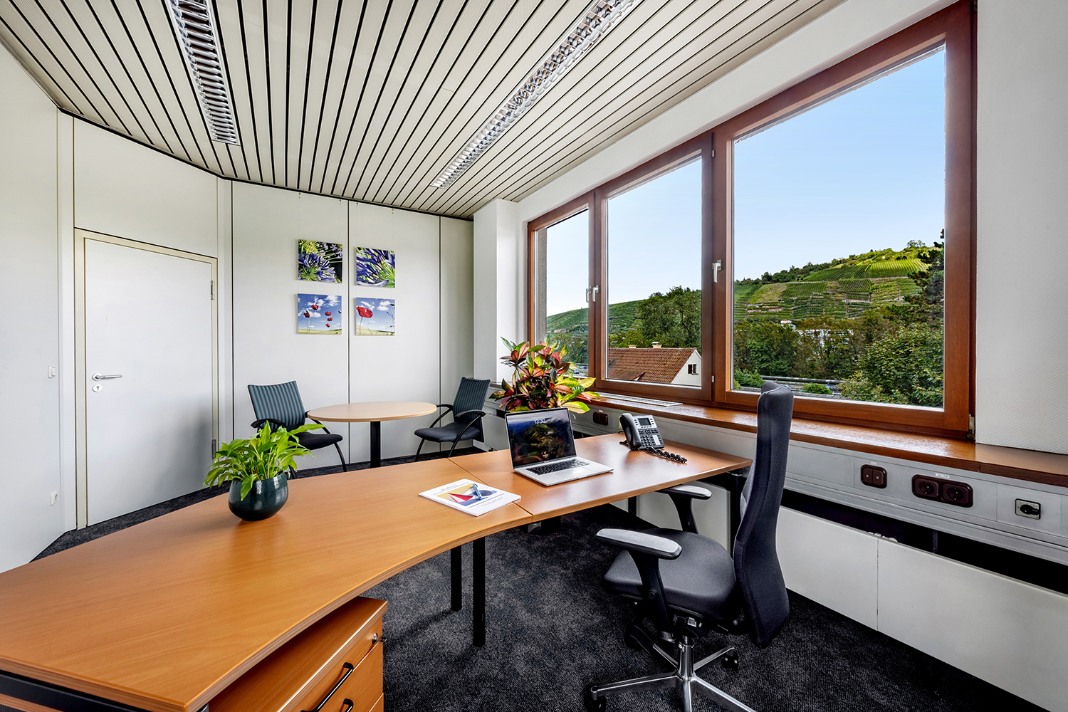 Office+Service-kleines-Office-16-18m2_05 Großer Schreibtisch mit Blick auf die Weinberge