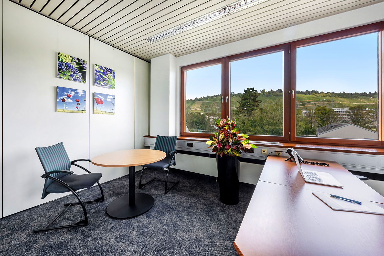 Office+Service-kleines-Office-16-18m2_06 Kleines Büro mit Besprechung und Schreibtisch und Blick auf die Weinberge